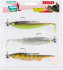 Balzer Shad 2go Zielfisch Set